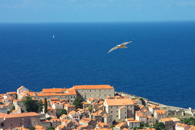 CRW_3998.jpg