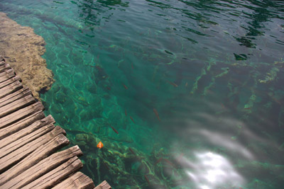 CRW_4885.jpg